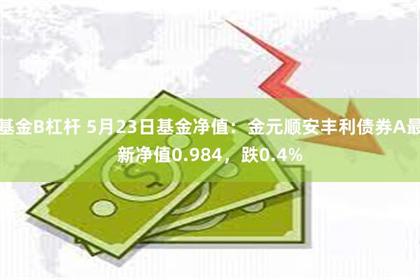 基金B杠杆 5月23日基金净值：金元顺安丰利债券A最新净值0.984，跌0.4%