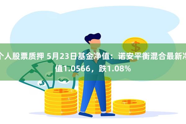 个人股票质押 5月23日基金净值：诺安平衡混合最新净值1.0566，跌1.08%