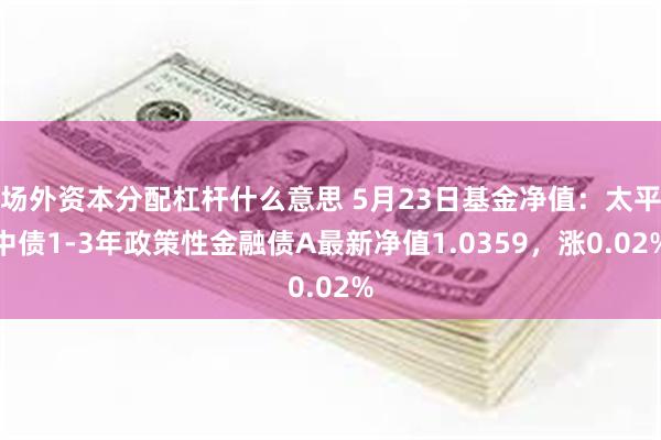 场外资本分配杠杆什么意思 5月23日基金净值：太平中债1-3年政策性金融债A最新净值1.0359，涨0.02%