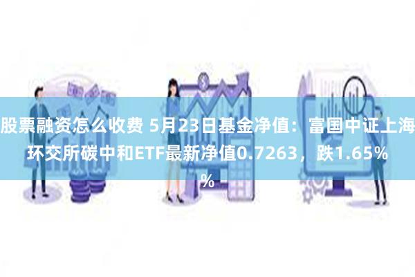 股票融资怎么收费 5月23日基金净值：富国中证上海环交所碳中和ETF最新净值0.7263，跌1.65%