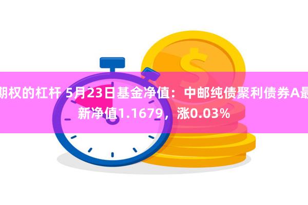 期权的杠杆 5月23日基金净值：中邮纯债聚利债券A最新净值1.1679，涨0.03%