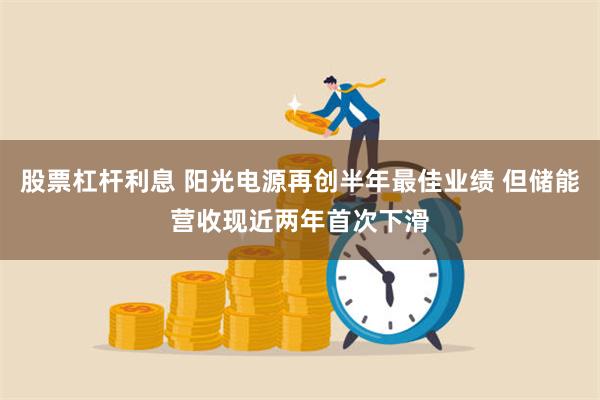 股票杠杆利息 阳光电源再创半年最佳业绩 但储能营收现近两年首次下滑