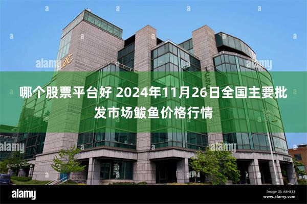 哪个股票平台好 2024年11月26日全国主要批发市场鲅鱼价格行情